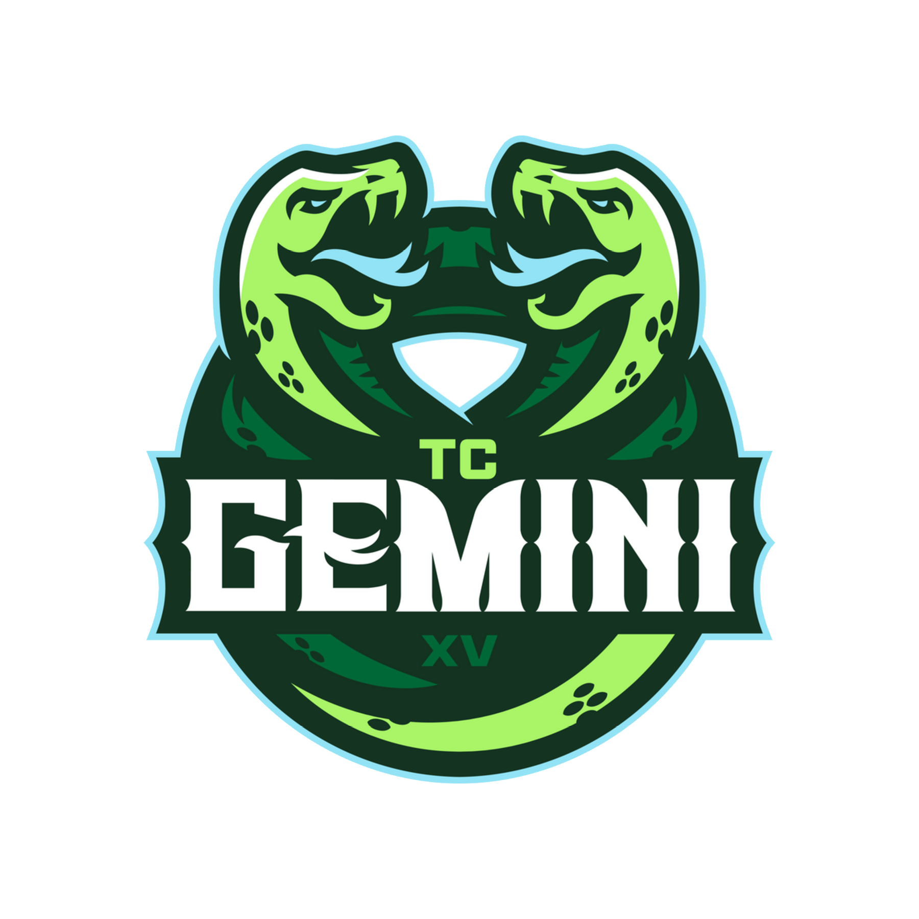 TC Gemini