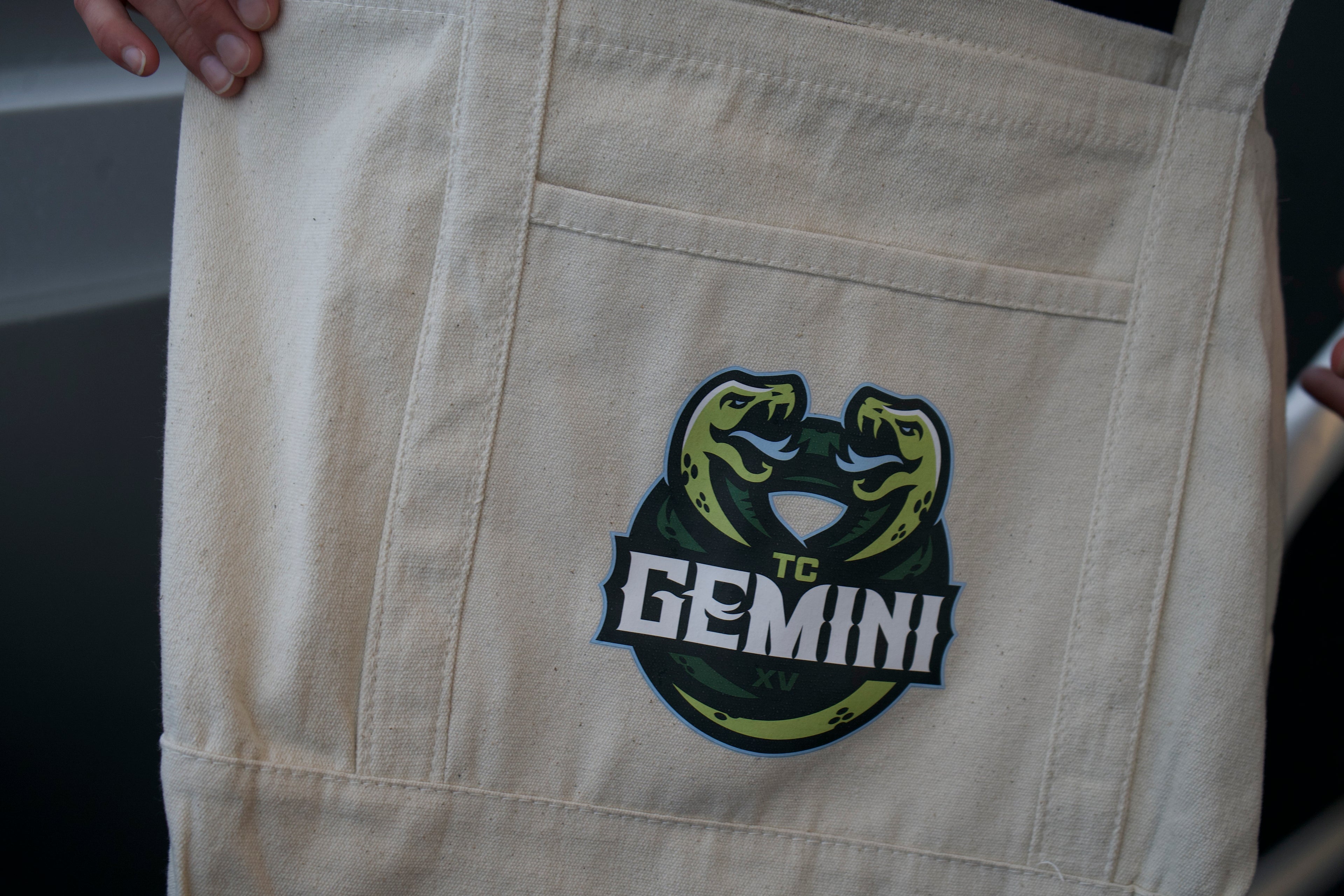 Gemini Recycled Cotton Tote