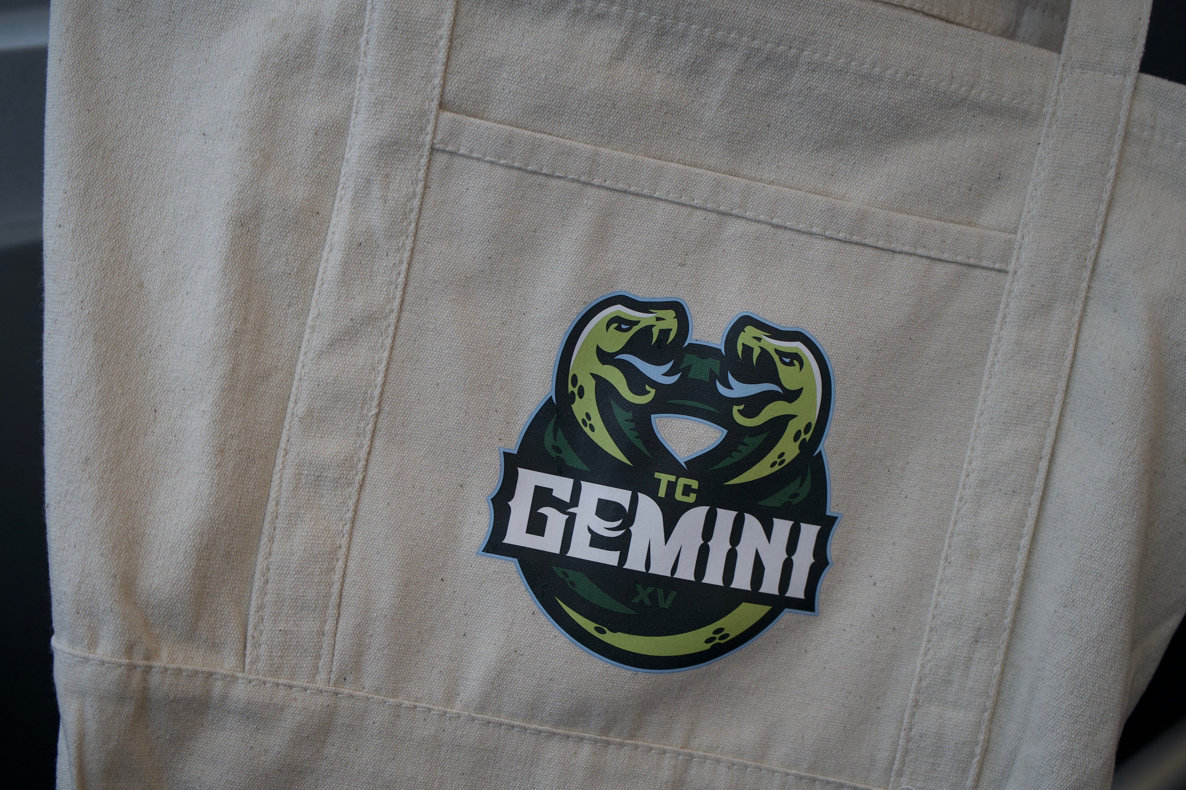 Gemini Recycled Cotton Tote